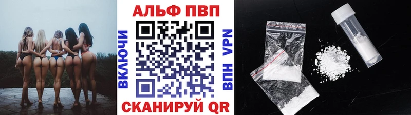 где купить наркоту  Электрогорск  Alfa_PVP мука 
