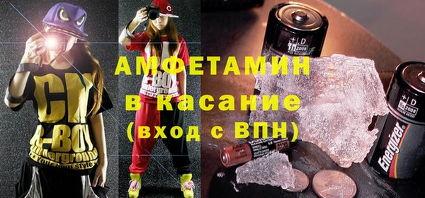 стаф Алзамай