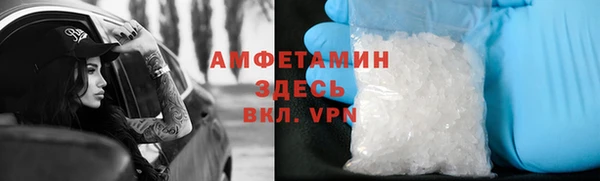 стаф Алзамай