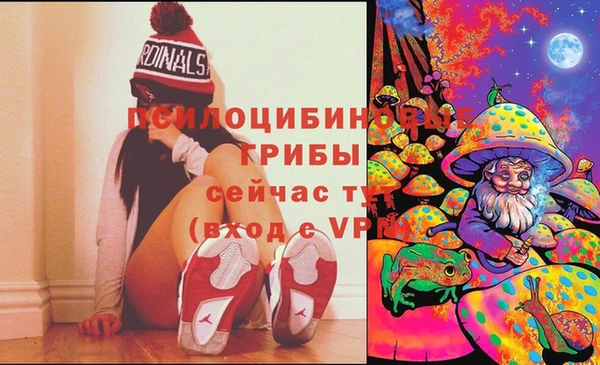 стаф Алзамай
