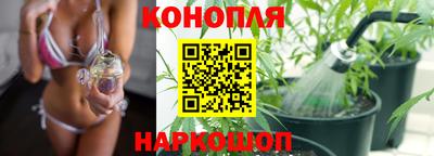 крисы Волжск