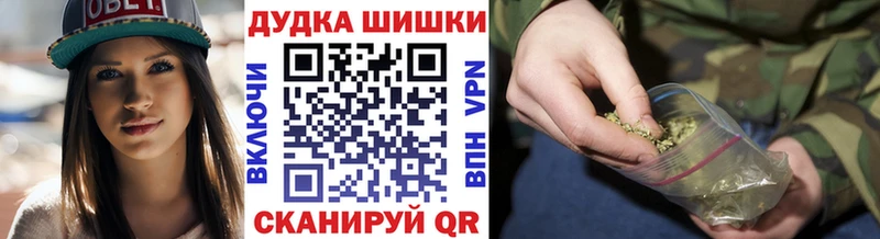 закладка  Электрогорск  кракен ONION  Бошки Шишки THC 21% 
