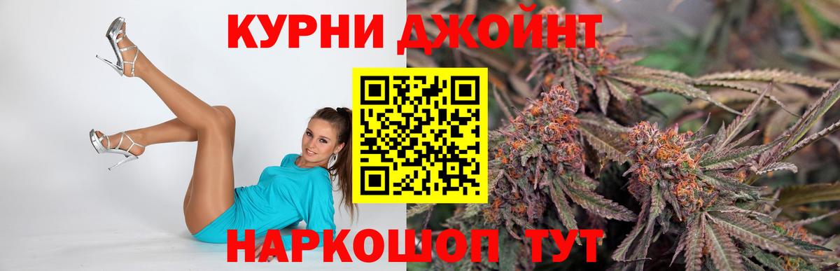 Конопля SATIVA & INDICA  Шишки марихуана конопля  Бошки марихуана планчик  Электрогорск  Вход с VPN 